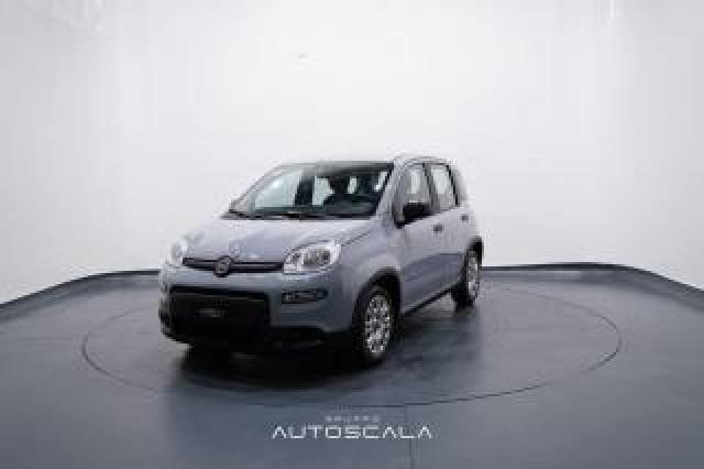 Fiat New Panda 1.0 Firefly S&s Hybrid  