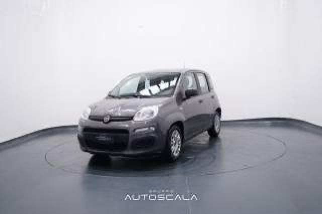 Fiat New Panda 1.0 Firefly S&s Hybrid Easy  