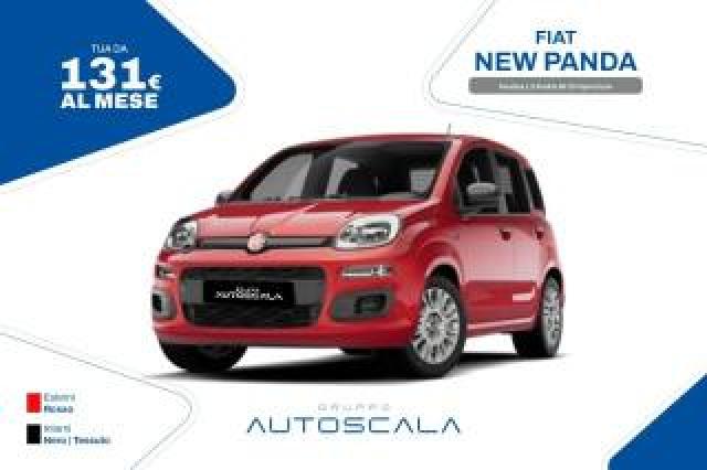Fiat New Panda Pandina 1.0 Firefly 65 Cv Hybrid Icon 