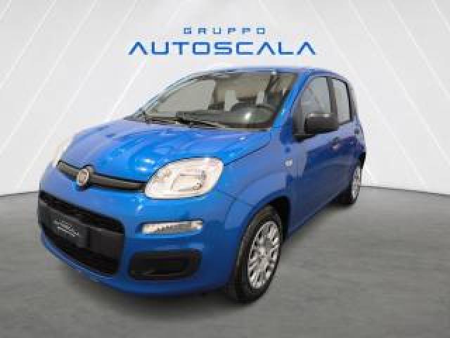 Fiat New Panda Pandina 1.0 Firefly 65 Cv Hybrid Icon 