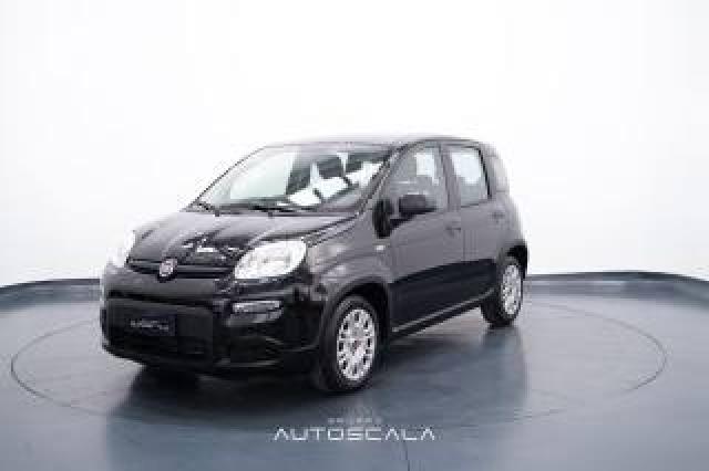 Fiat New Panda 1.0 Firefly S&s Hybrid Pack City  