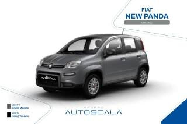 Fiat New Panda 1.2 69cv Easy  