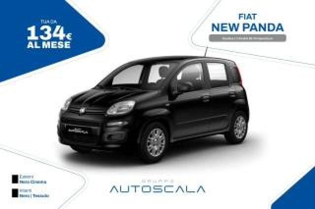 Fiat New Panda Pandina 1.0 Firefly 65 Cv Hybrid Icon 