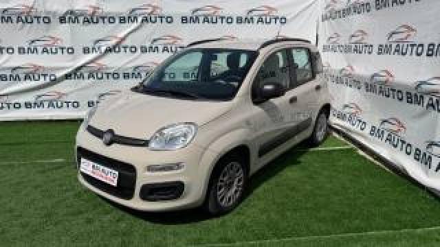 Fiat Panda 1.2 Lounge ***km Certificati*** Garanzia 12 Mesi 