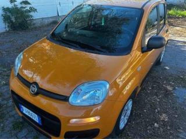 Fiat Panda 1.2 Easypower Easy Casa Madre 