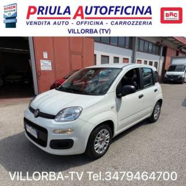 Fiat Panda 1.0 Firefly Hybrid Prezzo Reale 