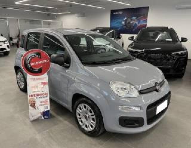 Fiat Panda 1.0 Hybrid 70 Cv Gse 