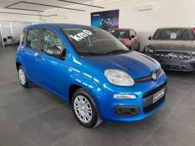 Fiat Panda 1.0 Hybrid 70 Cv Km0 My25 