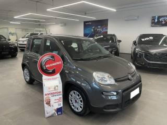 Fiat Panda 1.0 Hybrid 70 Cv City Life 