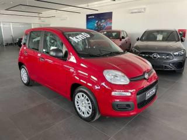 Fiat Panda 1.0 Hybrid 70 Cv Icon Km0 My 26 