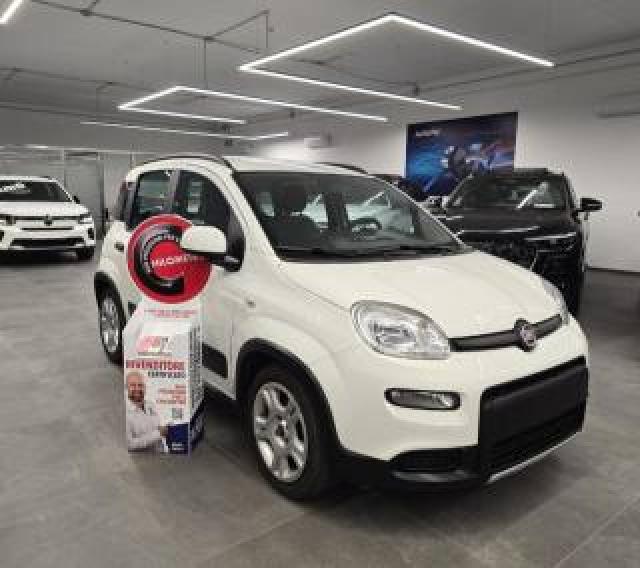 Fiat Panda 1.0 Hybrid 70 Cv City Life 