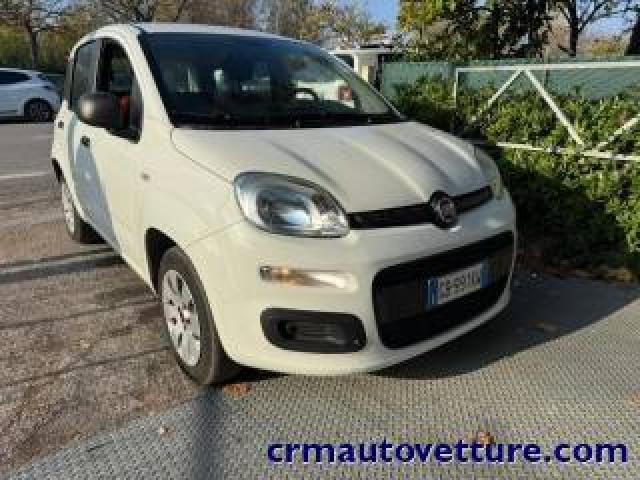 Fiat Panda Promo Finanziamento 1.2 Pop 