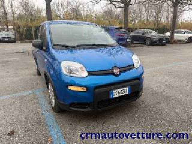 Fiat Panda Promo Finanziamento 1.0 Hybrid 