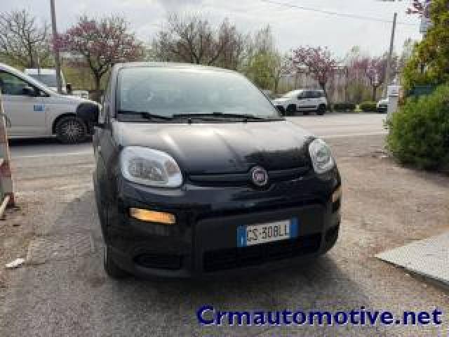 Fiat Panda Promo Finanziamento 1.0 Hybrid 