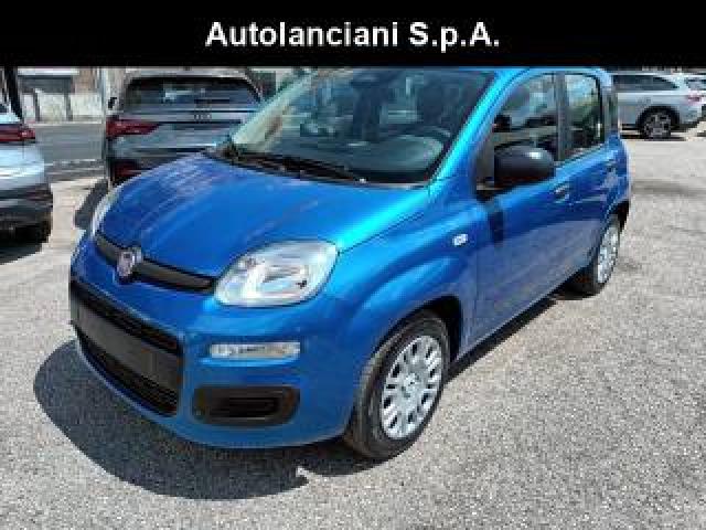 Fiat New Panda 1000 Hybrid 70 Cv Pdc Italia 