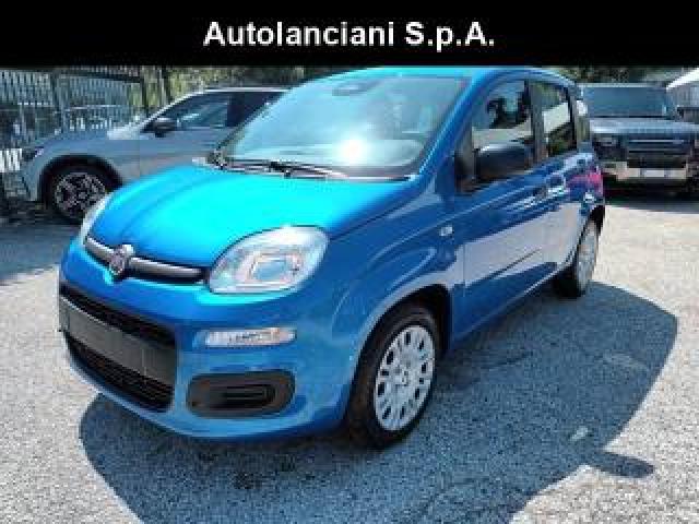 Fiat New Panda 1000 Hybrid 70 Cv Pack City 5 Posti Usb Italia 