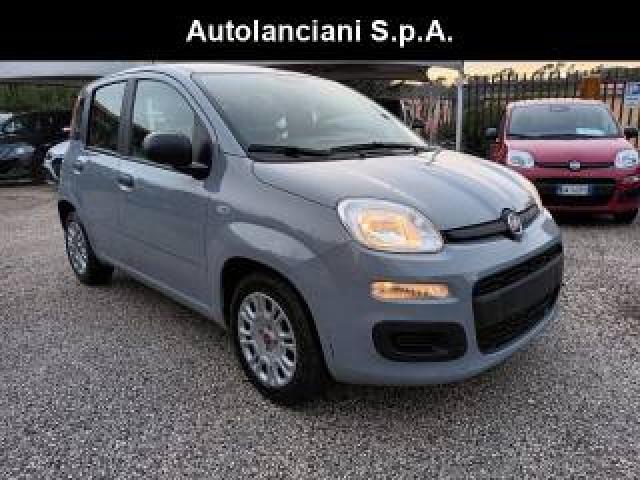 Fiat Panda 1000 Hybrid Panda 70cv Italia 