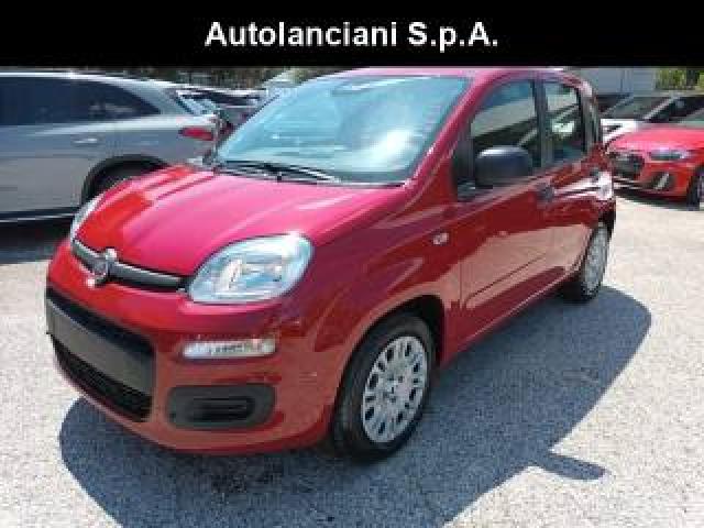 Fiat Panda 1000 Hybrid 70 Cv Pack City 5 Posti Usb Italia 