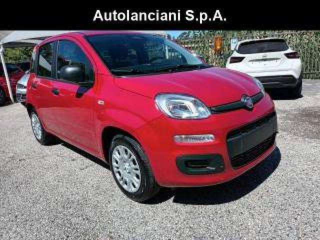 Fiat New Panda 1000 Hybrid 70 Cv Pdc Italia 