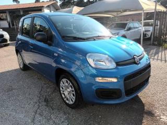 Fiat Panda 1000 Hybrid Pandina Icon 70cv Packcity Italia 