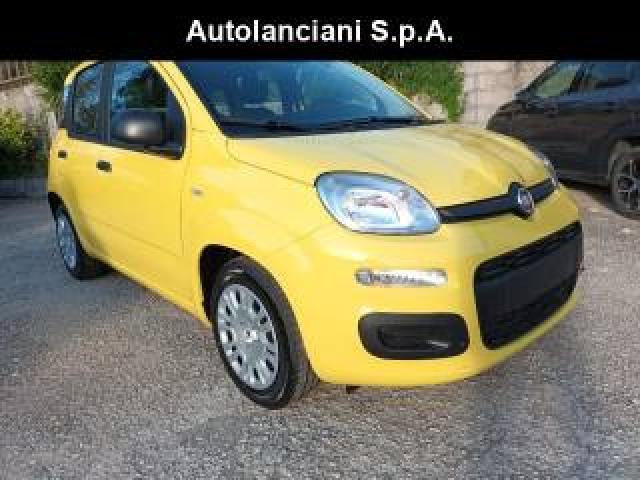 Fiat Panda 1000 Hybrid Pandina Pop 65cv Italia 
