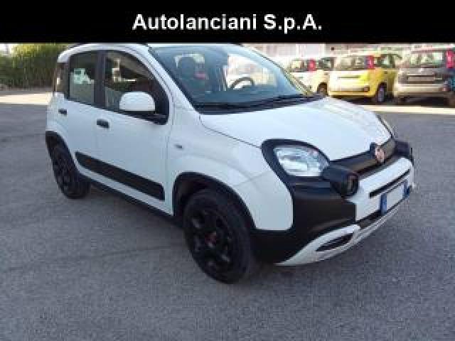 Fiat Panda 1000 Hybrid Cross 70cv Carplay Climauto Italia 