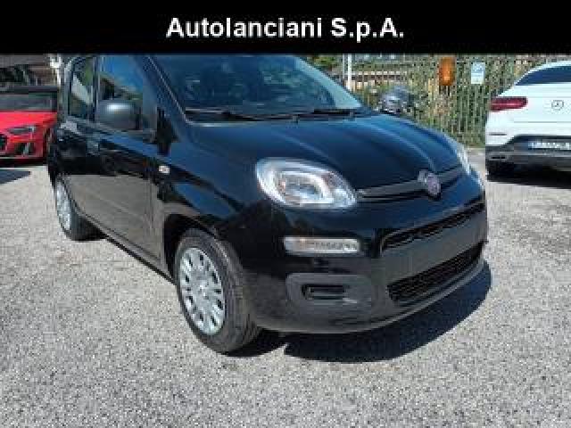 Fiat New Panda 1000 Hybrid 70 Cv Pdc Stereo Usb Italia 