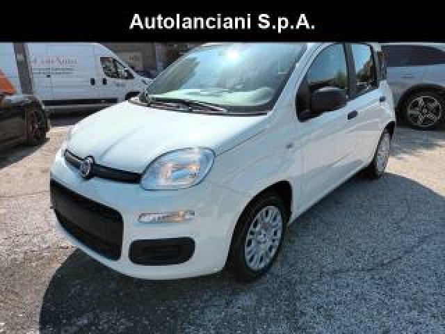 Fiat Panda 1000 Hybrid 70 Cv Pack City 5 Posti Usb Italia 