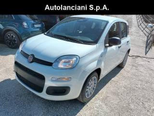 Fiat Panda 1000 Hybrid Pandina Icon 65cv Packcity Italia 