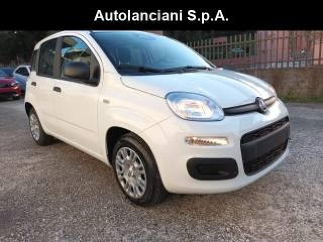 Fiat Panda 1000 Hybrid Pandina Icon 70cv 5p Packcity Italia 