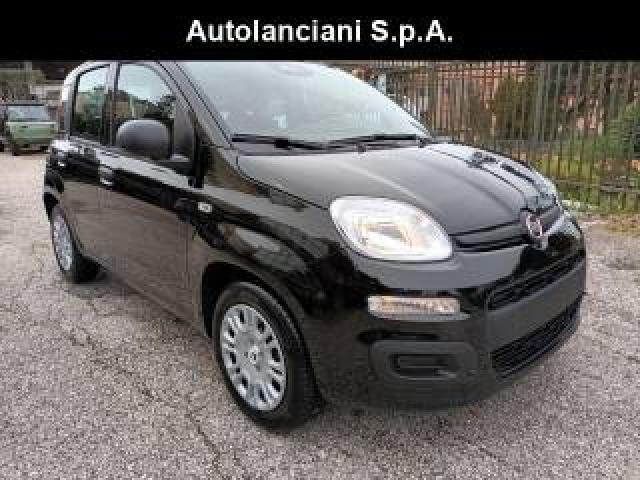 Fiat Panda 1000 Hybrid Pandina Pop 65cv Italia 
