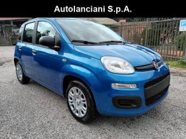 Fiat Panda 1000 Hybrid Pandina Pop 65cv Italia 