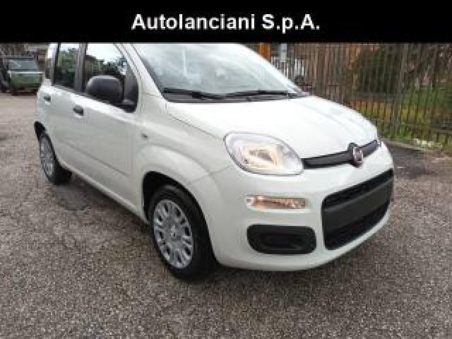 Fiat Panda 1000 Hybrid Pandina Pop 65cv Italia 