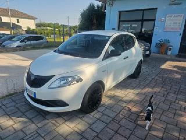 Lancia Ypsilon 1.0 Firefly 5 Porte S&s Hybrid Ecochic Silver 