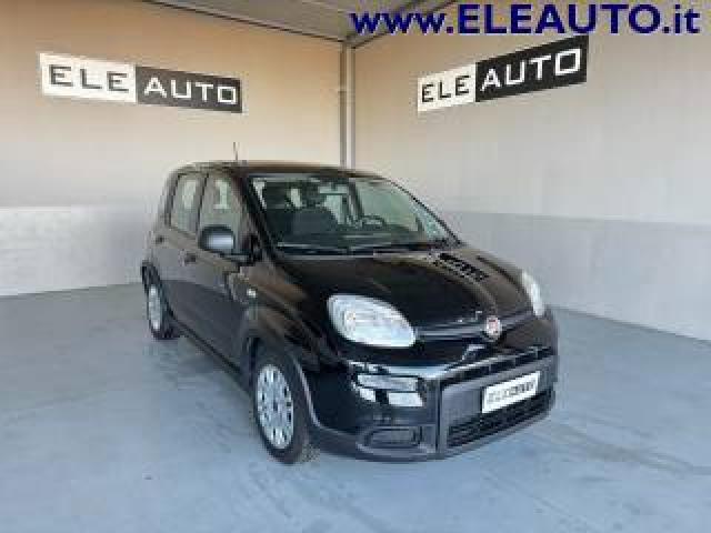 Fiat Panda 1.0 Firefly S&s Hybrid - Neopatentati 