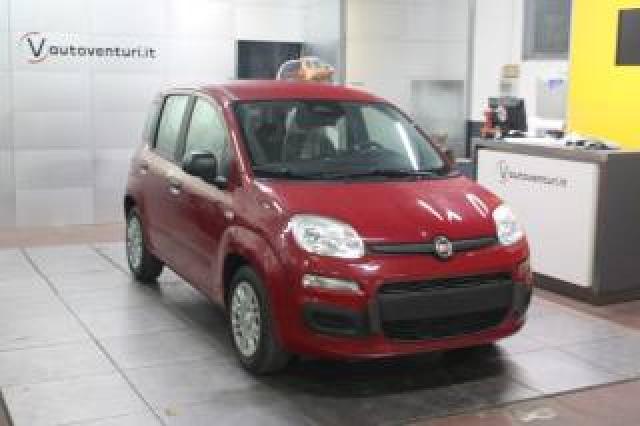 Fiat Panda 1.0 Firefly  Hybrid Icon 