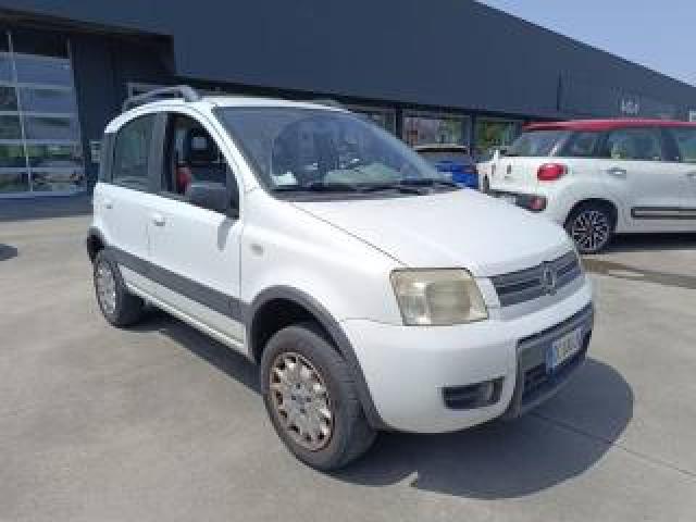 Fiat Panda 2ª Serie  1.2 4x4 Climbing 
