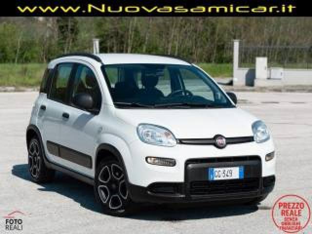Fiat Panda 1.0 Firefly S&s Hybrid City Life 70 Cv 