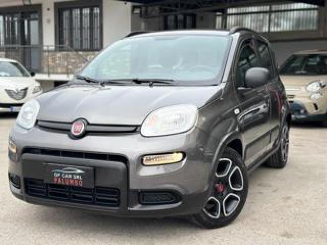 Fiat Panda 1.0 Hybrid City Life Pari Al Nuovo 